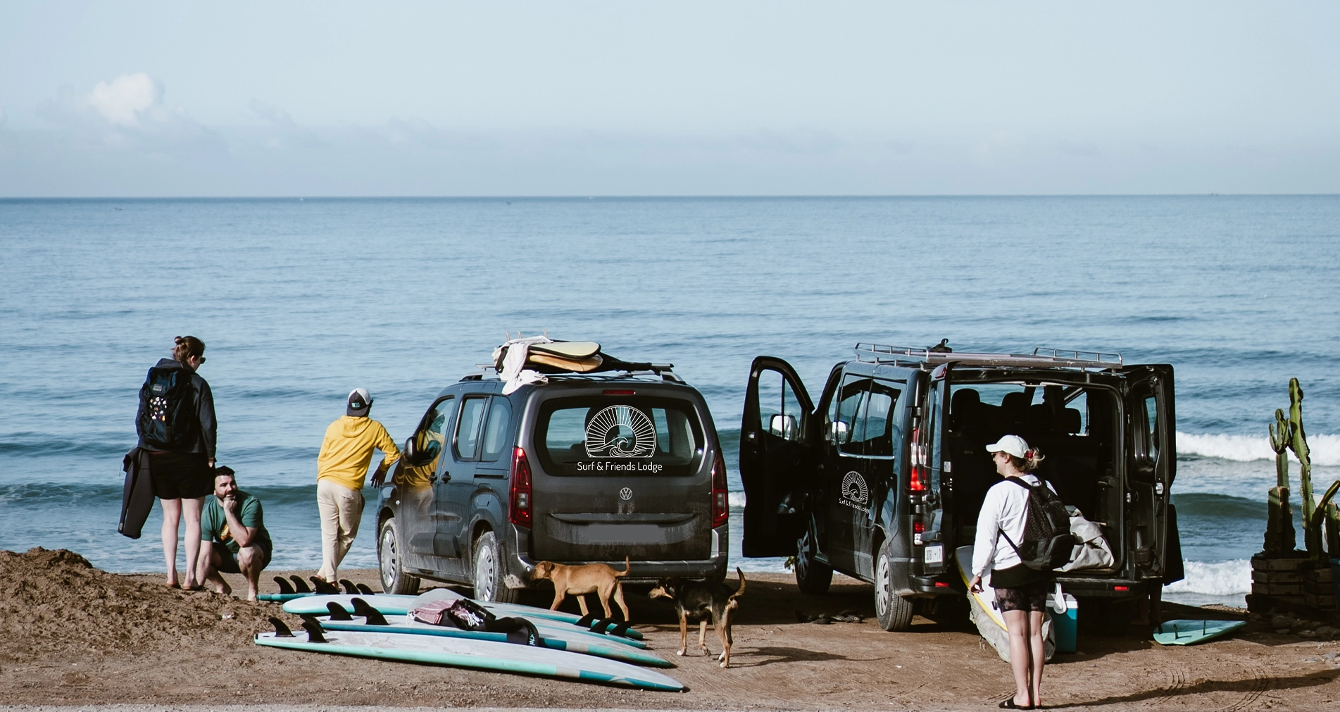 Surf check